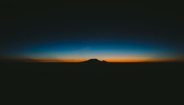 Photo by Elliott Engelmann on Unsplash